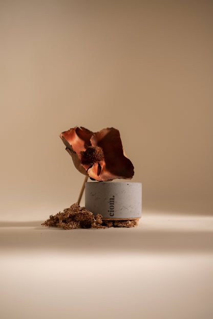 N°08 • Concrete • Soy Candle • Grey • Small • Wooden Wick