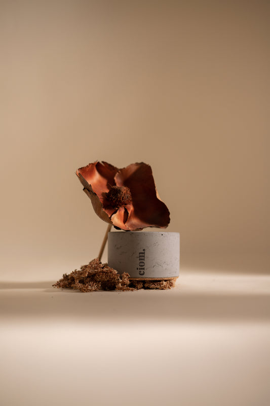 N°08 • Concrete • Soy Candle • Grey • Small • Wooden Wick