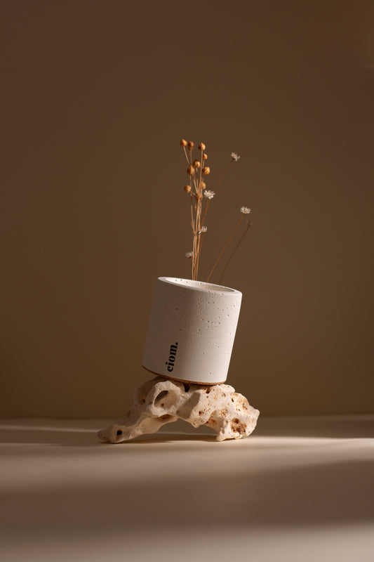 N°07 • Concrete • Soy Candle • White • Medium • Wooden Wick